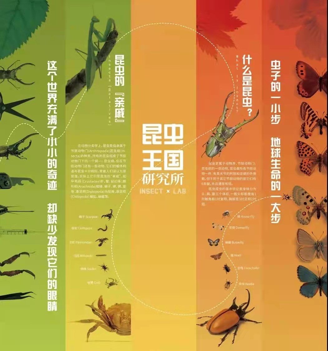 华诞献礼 陕西自然博物馆昆虫王国研究所 正式对外开放