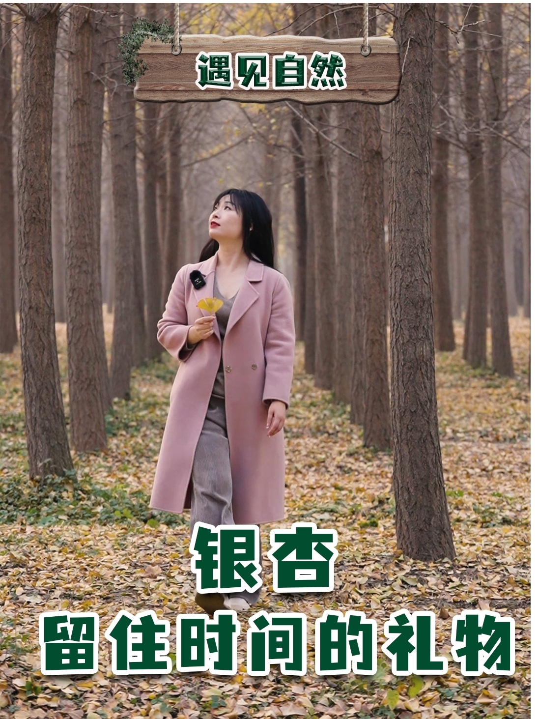 喜报!我馆原创作品获评“2024年 自然资源科技活动周优秀科普微视频”