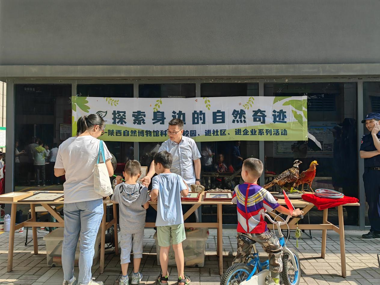 陕西自然博物馆标本进社区 共探自然奇迹