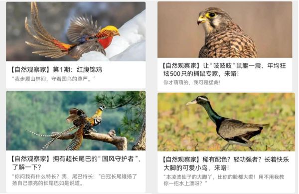 镜头定格自然之美 科普点燃探索热情