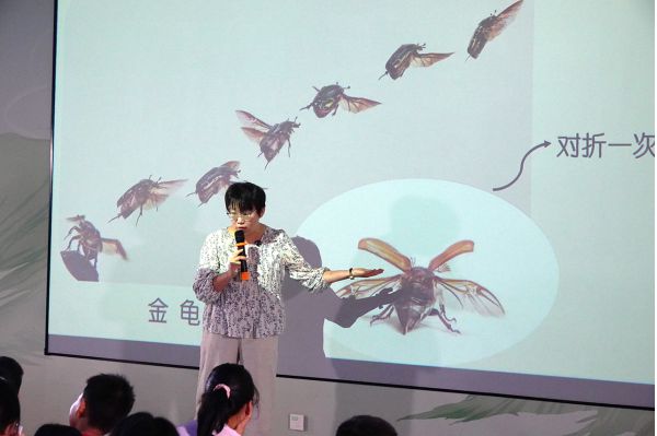 《秦岭万物说》第九期：探秘自然界的“折纸大师”与生命折叠智慧