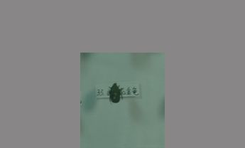 金龟子