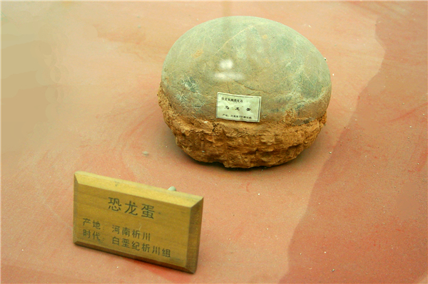 恐龙蛋化石